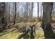 Backyard view with a table and chairs sitting on a lawn with mature trees at 1705 Mcrae Pl, Hillsborough, NC 27278