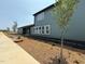 A green-sided home features newly laid mulch beds and sapling trees along its exterior sidewalk at 50 Rainfall Dr, Pittsboro, NC 27312