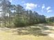 View of wooded backyard showcasing mature trees and natural landscape at 63 Tee Time Ter, Benson, NC 27504