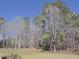 View of the wooded backyard with chain-link fence bordering the property at 703 E Stanley St, Four Oaks, NC 27524
