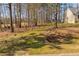 Large grassy yard with mature trees, offering a peaceful and natural setting at 35 Wickersham Way, Louisburg, NC 27549