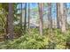 Secluded backyard with mature trees and a glimpse of the house at 3613 Hope Valley Rd, Durham, NC 27707