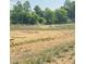Cleared property lot exhibiting its spaciousness and natural surroundings at 410 Hopewell Branch Ct, Smithfield, NC 27577