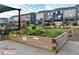 Raised garden beds with flowers and vegetable plants in a modern community garden at 6609 Truxton Ln, Raleigh, NC 27616