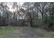 Expansive backyard with lush lawn and mature trees offering plenty of shade and privacy at 105 Mary St, Carrboro, NC 27510