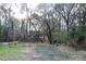 Extensive backyard with mature trees surrounding the property at 105 Mary St, Carrboro, NC 27510