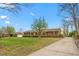 Brick ranch-style house, featuring a side drive, lush green lawn, and early spring trees at 709 S Sellars Mill Rd, Burlington, NC 27217