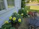 Charming yellow peonies brighten the patio area, creating a welcoming outdoor space with comfortable seating at 301 Kinsale Dr, Chapel Hill, NC 27517