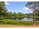 Scenic pond surrounded by lush greenery and trees, reflecting the clear blue sky, providing natural beauty at 605 Wyndham Dr, Fuquay Varina, NC 27526