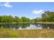 Picturesque pond surrounded by lush greenery and trees, creating a serene and natural setting at 605 Wyndham Dr, Fuquay Varina, NC 27526