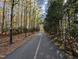 Scenic walking path through the community, lined with mature trees and foliage at 724 Red Arrow Dr, Knightdale, NC 27545