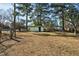 Backyard with trees and a storage shed at 1101 Nashville Rd, Rocky Mount, NC 27803