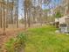 Lush backyard with a mix of trees and greenery, creating a private and peaceful outdoor retreat at 204 Sugarland Dr, Apex, NC 27502