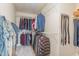Walk-in closet with shelving and ample storage space for clothing and accessories at 2418 Pecan Ridge Way, Apex, NC 27502