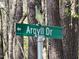 Green street sign indicating Argyl Dr, posted among the trees, helps to identify the community at 3273 Argyll Dr, Sanford, NC 27332