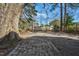 Expansive backyard with mature trees, providing shade and a natural setting at 922 Nashville Rd, Rocky Mount, NC 27803