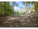 Expansive backyard backing up to mature trees, offering privacy and a natural setting at 10004 Liana Ln, Raleigh, NC 27613