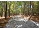Gravel driveway through wooded area leads to a private property at 10004 Liana Ln, Raleigh, NC 27613