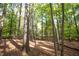 Picturesque wooded lot with a canopy of trees and a tranquil, natural setting at 10004 Liana Ln, Raleigh, NC 27613