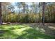 Grassy lawn with mature trees and natural landscaping offers a private, wooded feel at 10004 Liana Ln, Raleigh, NC 27613
