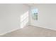 Bright bedroom features plush carpet, a large window and neutral paint for a serene atmosphere at 279 Canopy Dr, Graham, NC 27253