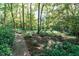 Lush backyard featuring natural foliage and a stone path, with mature trees at 3005 Woodgreen Dr, Raleigh, NC 27607