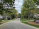 A peaceful street view featuring mature trees, sidewalks, and well-maintained lawns in a residential neighborhood at 3005 Woodgreen Dr, Raleigh, NC 27607