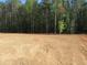 Cleared backyard with tall trees and ample space at 358 Coats Ridge Dr, Benson, NC 27504