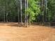 Beautiful lot surrounded by mature trees, offering a serene and private setting at 358 Coats Ridge Dr, Benson, NC 27504