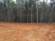 Land that has been cleared and is ready for building, backing up to a thick line of trees at 358 Coats Ridge Dr, Benson, NC 27504