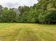 Green backyard featuring a large grassy area with mature trees at the back of the property at 4017 Mebane Oaks Rd, Mebane, NC 27302
