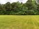 A lush green lawn extends to a dense tree line, offering privacy and a natural backdrop at 4037 Mebane Oaks Rd, Mebane, NC 27302