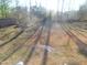 The backyard has trees at 468 Dickens Dr, Raleigh, NC 27610