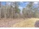 Natural backyard setting with mature trees and landscaping at 100 High Ridge Ln, Pittsboro, NC 27312