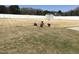 Backyard view showing a garden area, white fence, and a storage shed at 149 Steep Rock Dr, Willow Springs, NC 27592
