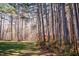 A level backyard with mature trees and a storage shed in the distance at 1516 Bradsher Dr, Stem, NC 27581