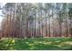 Large level lot with mature trees and an outbuilding at 1516 Bradsher Dr, Stem, NC 27581