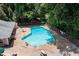 Aerial view of a community pool, surrounded by lounge chairs and greenery, perfect for relaxation and recreation at 220 Elizabeth St # F-2, Chapel Hill, NC 27514