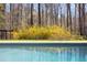 Backyard swimming pool, surrounded by lush landscaping, provides a refreshing oasis for relaxation and recreation at 336 Timberline Dr, Pittsboro, NC 27312