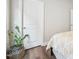 Comfortable bedroom with hardwood floors, a patterned comforter, and a large plant at 3929 Glenlake Garden Dr, Raleigh, NC 27612