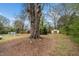 Large backyard featuring mature trees and outbuildings at 513 Kenway St, Garner, NC 27529
