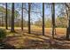 Scenic view of grassy backyard with mature trees at 100 Dunedin Ct, Cary, NC 27511