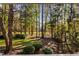 Beautiful view of mature trees and greenery at 100 Dunedin Ct, Cary, NC 27511
