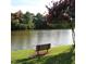 A beautiful lake view features a bench near the water and lush greenery at 113 Kings Castle Dr, Apex, NC 27502
