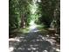 A shaded walking trail leads through a tranquil, wooded area at 113 Kings Castle Dr, Apex, NC 27502