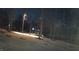 Captured on surveillance at night, wildlife roams freely on this large property at 271 Sacred Fire Rd, Louisburg, NC 27549