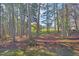 Picturesque view of a home's landscaped yard and trees beyond a wooded lot at 102 Stagville Ct, Cary, NC 27519