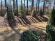 Spacious backyard surrounded by lush greenery and mature trees, offering privacy and tranquility at 12409 Angel Vale Pl, Durham, NC 27703