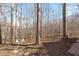 Backyard with a wooded view and stone-paved walking paths at 211 Fleming Dr, Durham, NC 27712