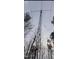 Tall outdoor antenna or tower surrounded by trees and nature at 4324 Old Lewis Farm Rd, Raleigh, NC 27604